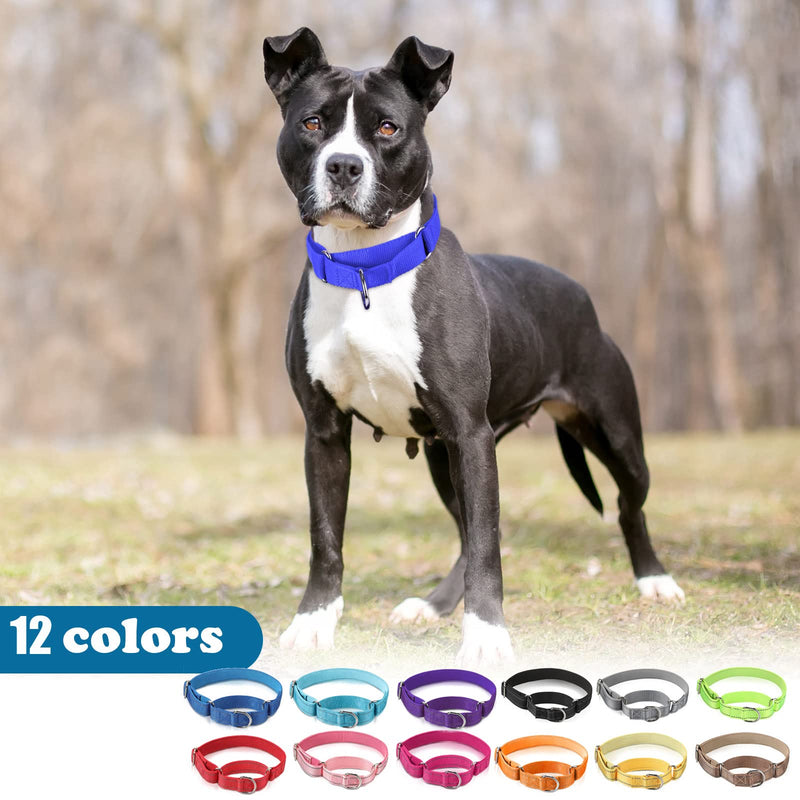 Cunno 12 Pcs Martingale Collar for Medium Dogs Reflective Dog Collar with Durable Metal Buckle Adjustable Nylon Pet Prevent Slipping Out for Pupplies, 12 Colors(Medium)