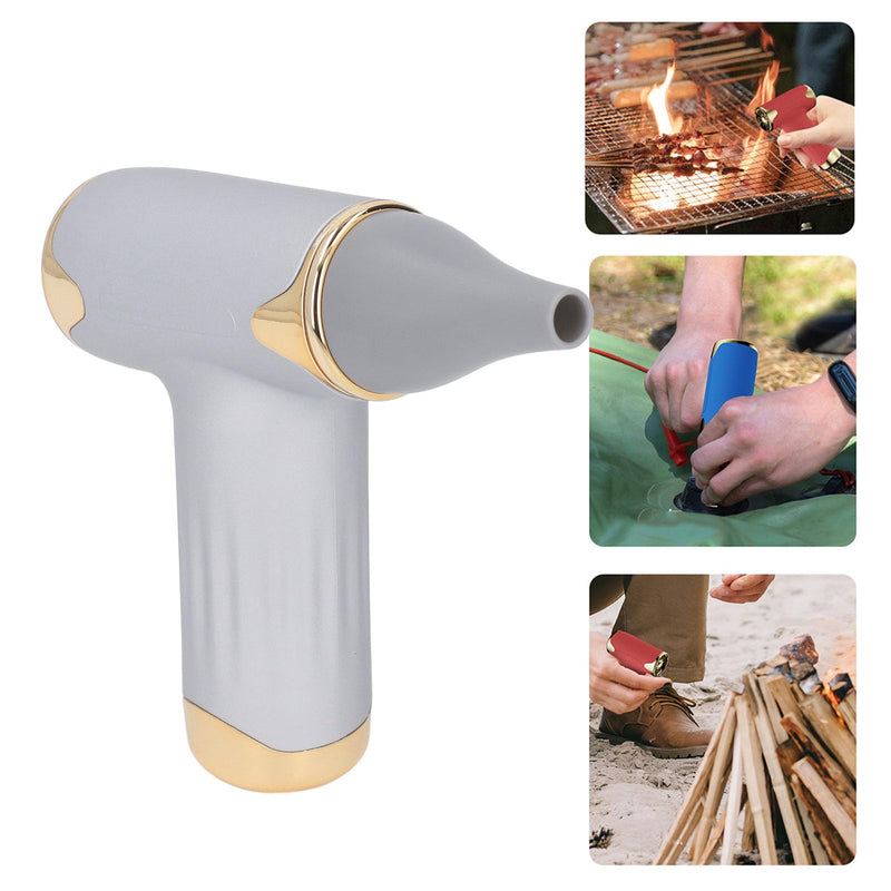 Tbest Pet Hair Dryer, High Speed 4 Levels Wind Bladeless 60W Electric Hair Dryer Handheld Dust Blower for Cats Dogs (Silver Silver - PawsPlanet Australia