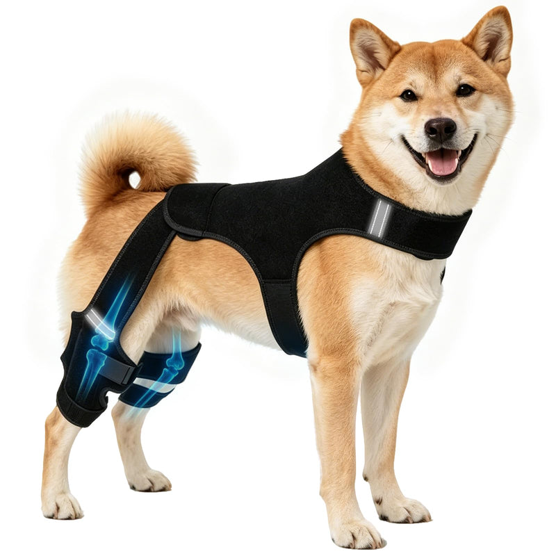 Dog Knee Braces for Torn ACL Hind Leg, Adjustable Dog Leg Braces with Stabilizers, Dual Hind Leg Support to Reduce Pain from Arthritis, Ligament Injury, Hip Dysplasia, Luxating Patella,M M