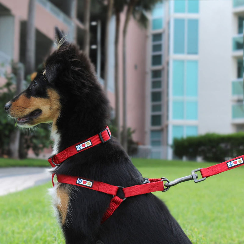 Pawtitas Adjustable Heavy Duty Waterproof Dog Collar with Quick-Release Buckle - Lush Green Collar for Medium Breeds Medium (Pack of 1) - PawsPlanet Australia
