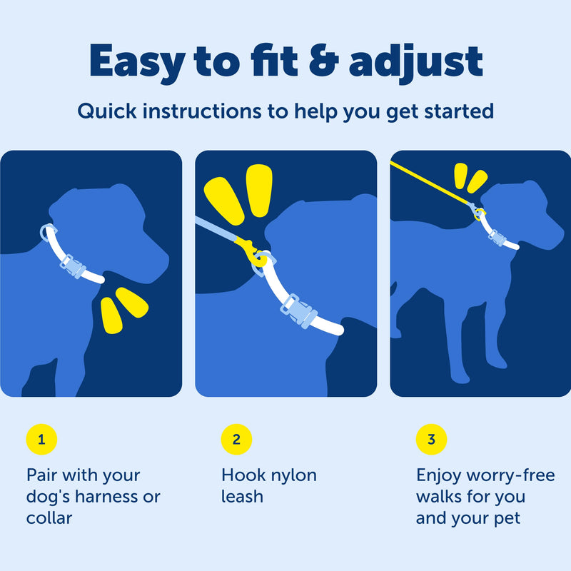 PetSafe Nylon Dog Leash – Strong, Durable, Traditional Style Leash with Easy to Use Bolt Snap – 1" x 6', Red - PawsPlanet Australia