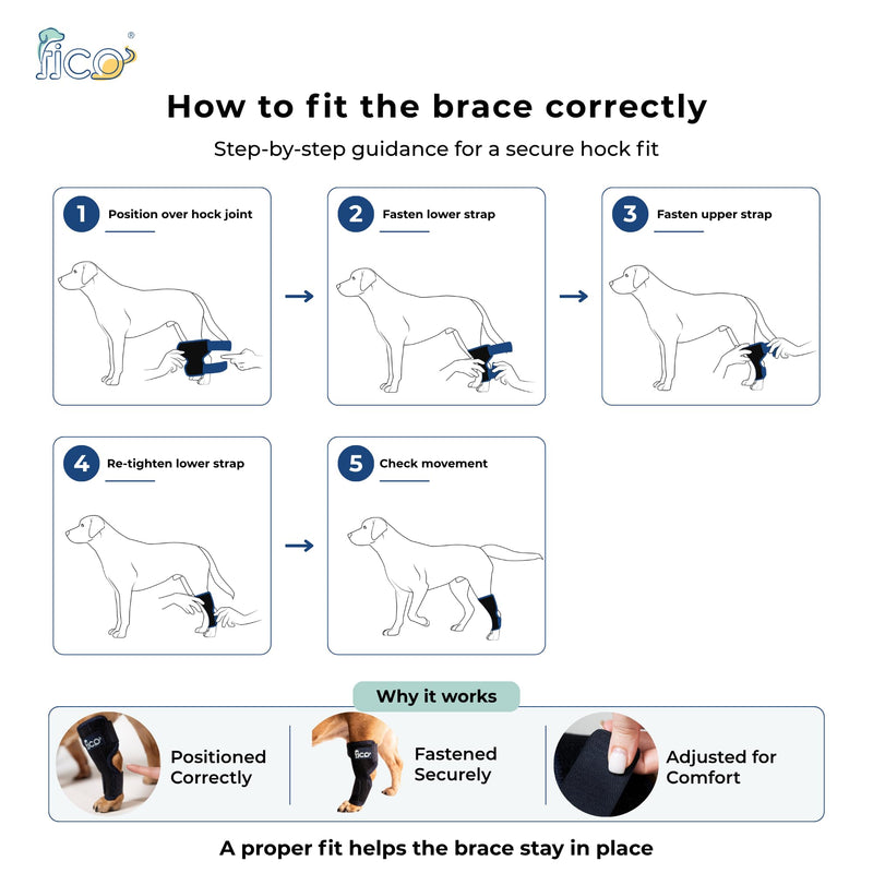Dog Hock Brace for Ankle Support & Arthritis, Vet Approved Dog Back Leg Brace, Adjustable with Removable Splints, Orthopedic Support for Injuries, Sprains & Post-Surgery Recovery (Medium) Medium