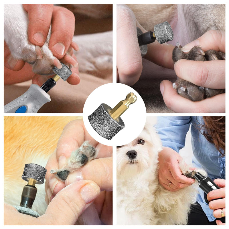 5Pcs Dog Nail Grinder Diamond Tip Replacement Heads Replaceable Paws Dog Claw Grinder Bits Pet Paws Grooming Accessories - PawsPlanet Australia