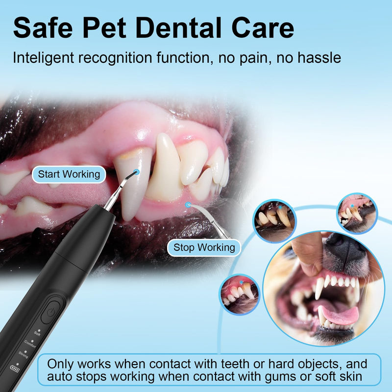 Ultrasonic Dog Plaque Remover Tool, 3 Modes Plaque and Tartar Remover for Dogs, Low Noise Sonic Dog Tartar Remover Dogs Plaque Remover with Toothbrush 2 Cleaning Head for Pet Dental Care, Black