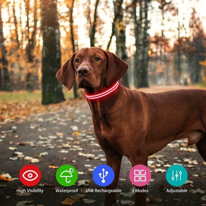 PcEoTllar LED Dog Collar, Rechargeable Flashing Light Up Dog Collar 100% Waterproof Safety Adjustable Pets Collar Increased Visibility Super Bright for Small Medium Large Dog S(11''-15.7''/28-40cm) Red - PawsPlanet Australia