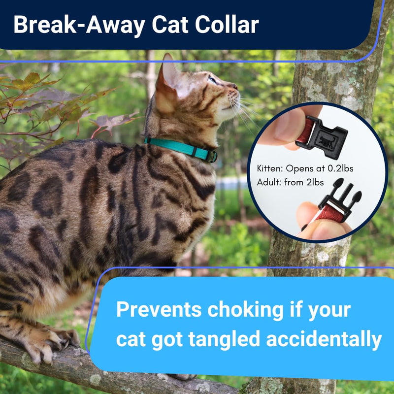OutdoorBengal Durable Cat Collar Breakaway with Soft Padding for medium to large cats - Thin Heavy Duty Tactical Fabric, Comfortable, Quick Release Breakaway Cat Collars, No Bell Collar (Black, Adult) Charcoal Black - PawsPlanet Australia
