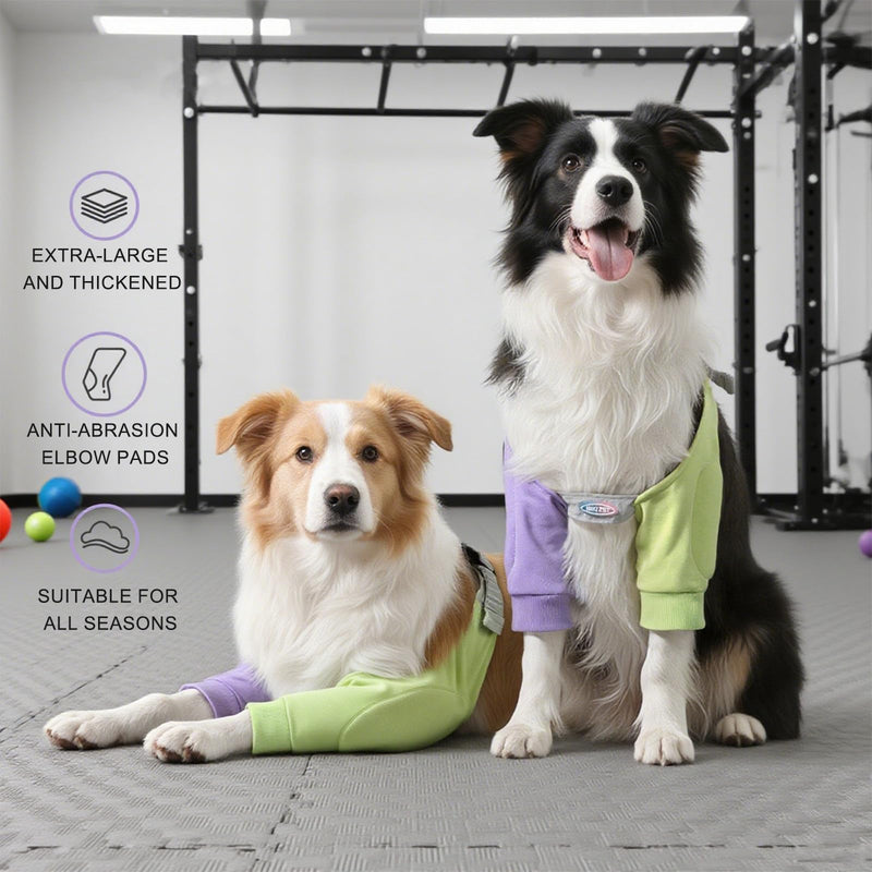 Fashion Dog Leg Protectors, Dog Elbow Pads Contrast Colouring, Dogs Front Leg Braces Recovery Sleeve, Elbow Joint Protector for Medium & Large Dogs for Wound Healing and Injury Recovery