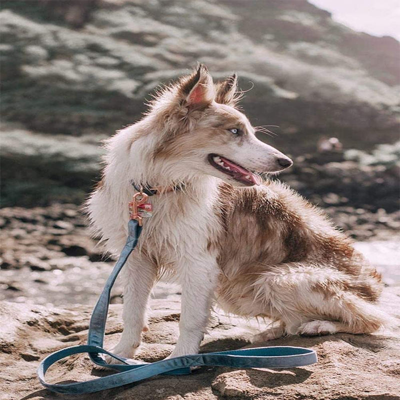 JiangYanus Dog Collar and Leash Set, Velvet Dog Collar and Leash with Metal Quick Release Buckle Adjustable for Small Medium Large Dogs Walking Running Training and Wedding Birthday or Christmas Party - PawsPlanet Australia