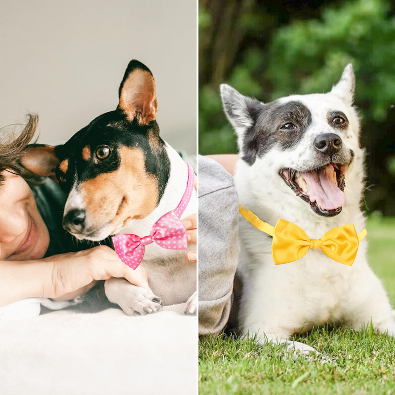 Segarty Bow Ties for Dogs, 80 Pack Dog Bowtie Collar, Adjustable Small Medium Pet Bowties Large Puppy Neck Bows Bulk Assorted Pets Grooming Accessories Birthday Wedding Party Holiday Festival 80pcs-vivid - PawsPlanet Australia