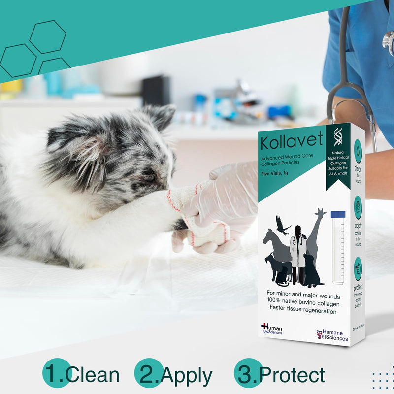 Veterinarian-Recommended Animal Wound Care Dressing for Cats, Dogs, Horses, Reptiles, Pets, and Working Animals (1 Gram Vials) 1 Gram Vials - PawsPlanet Australia
