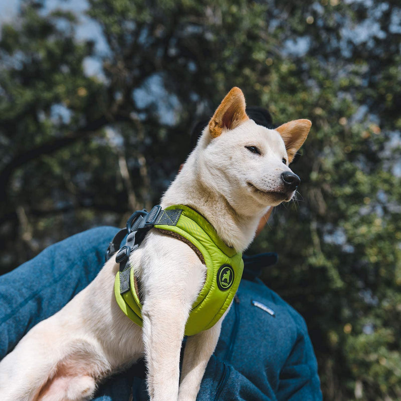 Gooby Escape Free Memory Foam Harness - Green, Large - No Pull Step-in Small Dog Harness with Four Point Adjustment - Perfect on The Go Dog Harness for Medium Dogs No Pull and Small Dogs Large Chest (16.5~24.25") - PawsPlanet Australia