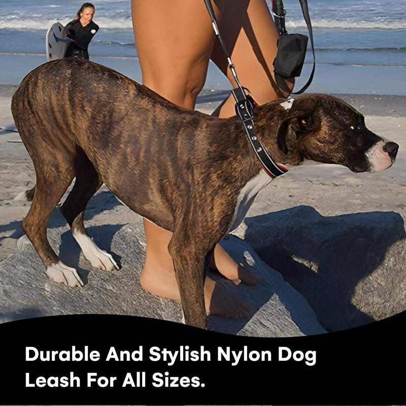 Black Rhino 6 ft Long Heavy Duty Dog Leash with Traffic Handle for Medium and Large Dogs - with Padded Neoprene Dual Handles, Bag and Clip - Reflective, Durable, and Weather Resistant - Red - PawsPlanet Australia
