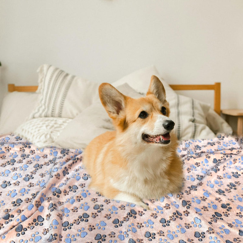 Waterproof Dog Blankets for Large Dogs, 60" x 50" Dog Blanket Washable, Soft Fluffy Flannel Pet Blanket Mat Cover for Bed Couch, Cute Print Puppy Blanket T-brown Paw-1 Pc XL (60 in x 50 in) - PawsPlanet Australia