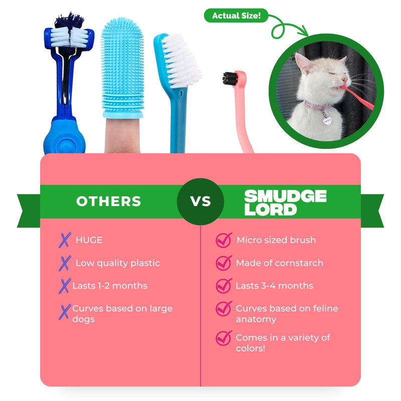 RYERCAT Dual Sided Cat Toothbrush - Kitten Toothbrush with Micro Head to fit into Cat/Kittens Mouth - Cat Dental Care Supplies - Pet Toothbrush for Cats (Smudgelord) - PawsPlanet Australia