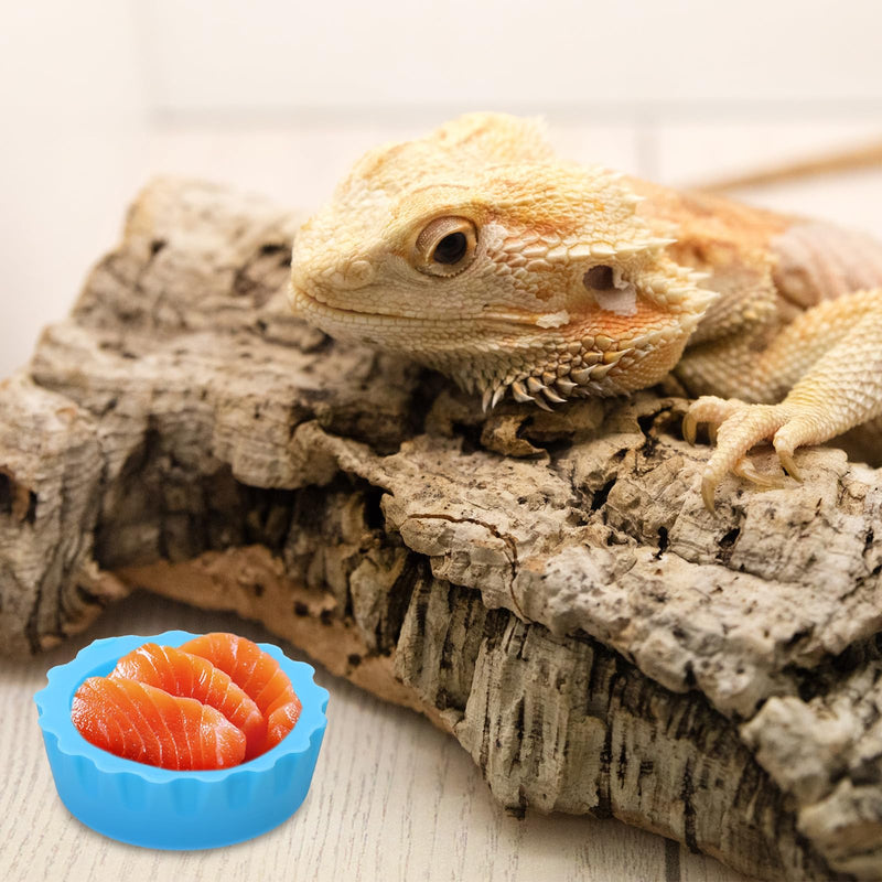 7 Pack Crested Gecko Food Dish Reusable Small Crested Gecko Food Cups Water Feeding Cup Bowl Colorful Silicone Reptile Feeding Cups for Tortoise, Small Pet and Crab - PawsPlanet Australia