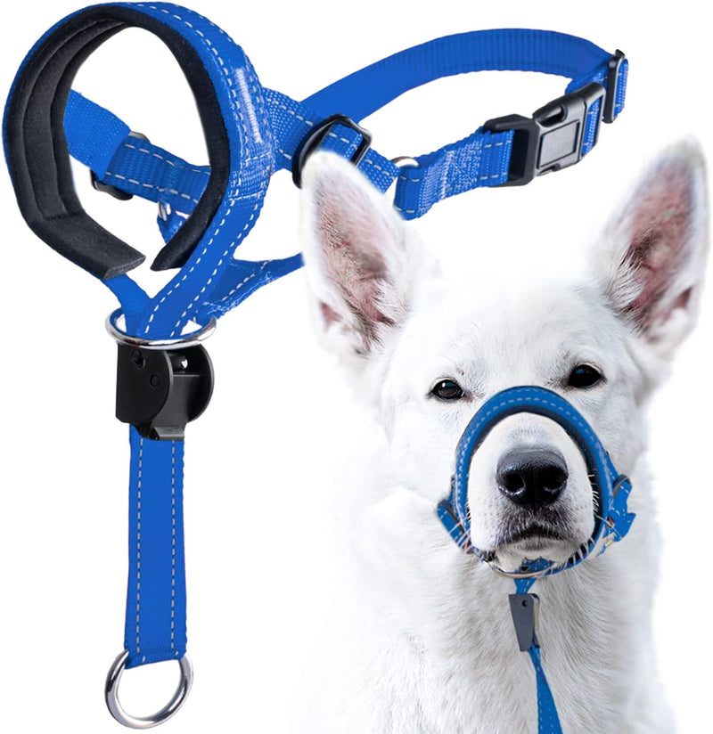 GoodBoy Dog Head Halter with Safety Strap - Stops Heavy Pulling On The Leash - Padded Headcollar for Small Medium and Large Dog Sizes - Head Collar Training Guide Included 3 Blue - PawsPlanet Australia