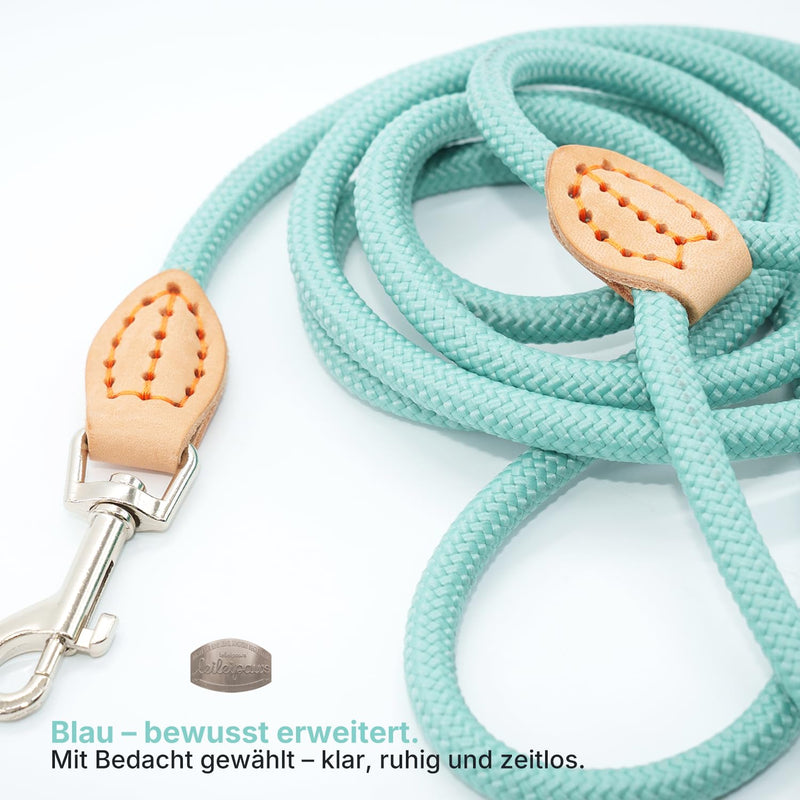 Dog Lead 2 m & 3 m - Robust Round Rope Rope for Small, Medium & Large Dogs, Reflective & Lightweight - Nylon Lead with Safety Carabiner & Leather Handles (2 m x 0.8 cm, Light Blue) lightblue 2m x 0.8cm