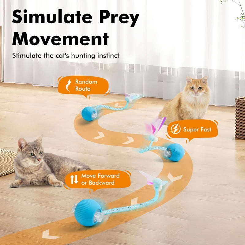 2 Packs Speed Tail 2.0 Interactive Cat Toys for Indoor Cats, Automatic Moving Cat Toy with Elastic Mesh Tail, Rechargeable Cats Ball for Enrichment Exercise red+blue - PawsPlanet Australia