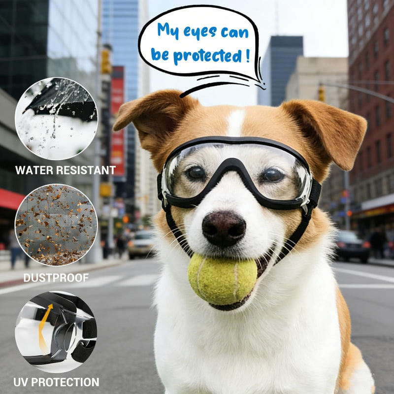 NAMSAN 2 Pair of Dog Goggles, Clear/Black, UV Protection Dog Sunglasses for Medium to Large Dogs, Windproof Driving Dog Eye Protection, Dog Glasses with Elastic Straps, Adjustable 2PCS(Large) - PawsPlanet Australia