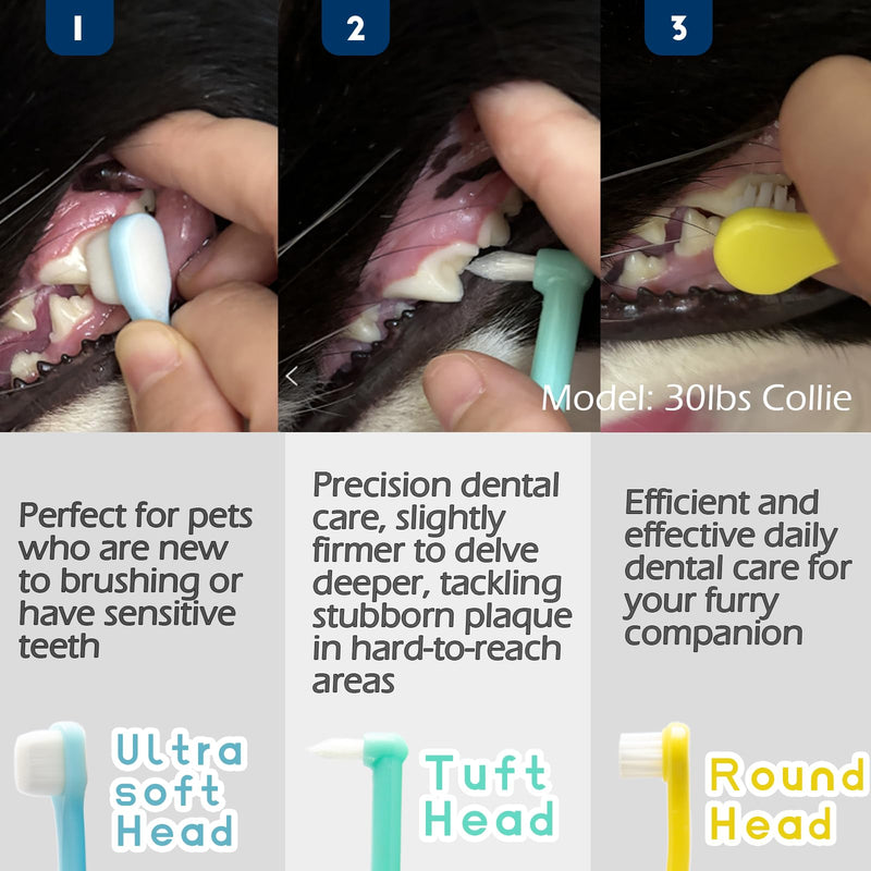 Cat Toothbrush Puppy Tooth Brushing Kit, Micro Head Small Dog Toothbrush, Round & Pointed Head Deep Teeth Cleaning Tooth Brushes for Small Pet Breed Doggie Kitten, Soft Bristles, 5 PCS For cats & small dogs(Blue-Yellow-Green) - PawsPlanet Australia