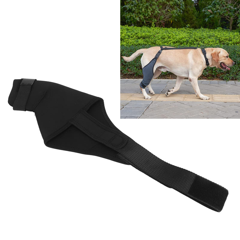 Qcwwy Dog Knee Orthotics for the Hind Leg, Dog Hind Leg Orthotics for Dogs with ACL Knee Dislocation, Arthritis, Breathable, Comfortable Dog Joint Protection, Default