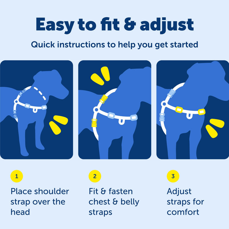 PetSafe Easy Walk Deluxe Dog Harness, No Pull Dog Harness – Perfect for Leash & Harness Training – Stops Pets from Pulling and Choking on Walks – Large, Apple Large (Pack of 1) Apple Green - PawsPlanet Australia