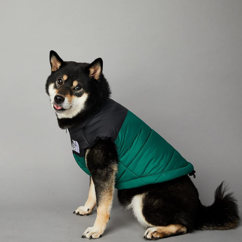 ChoChoCho Puffer Vest - Stylish Dog Jacket, Warm Coats for Cold Weather, Snow & Winter (Green, S) S (Chest: 15.7'' / Suggest: 2-5 lbs) Vest-Green