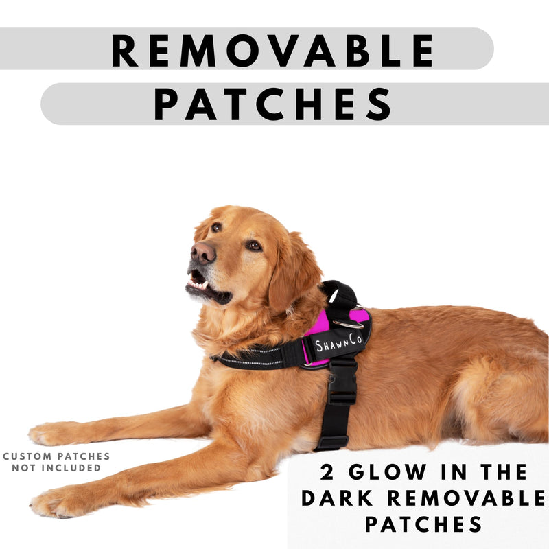 ShawnCo Essential Pro Dog Harness, No-Pull Pet Vest with 3 Leash Clips and Removable, Reflective Side Patches, Adjustable and Padded Harness for Small, Medium and Large Dogs (Oceanic Blue, M) Oceanic Blue