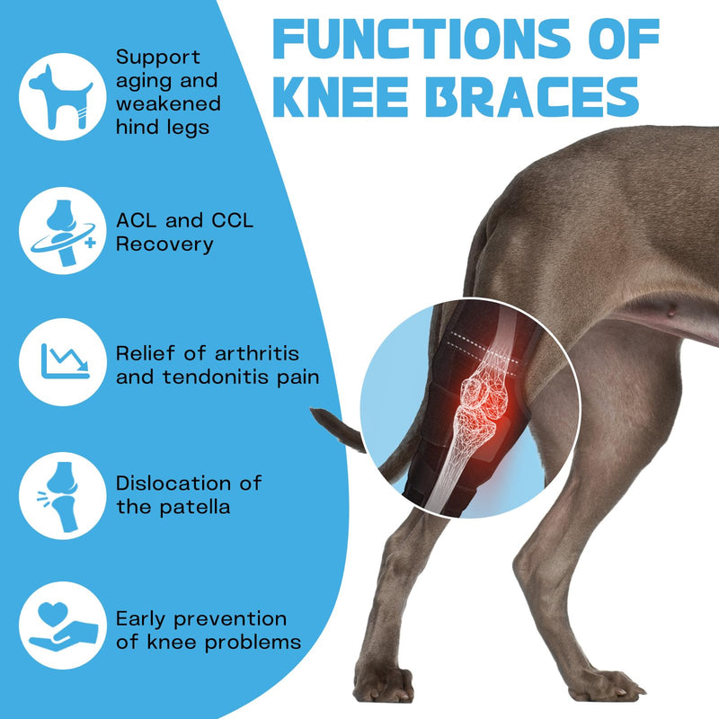 Adjustable Dog ACL Knee Brace – Rear Leg Support for Cruciate Ligament Recovery, Arthritis & Joint Pain Relief (Left,XL) XL LeftLeg - PawsPlanet Australia