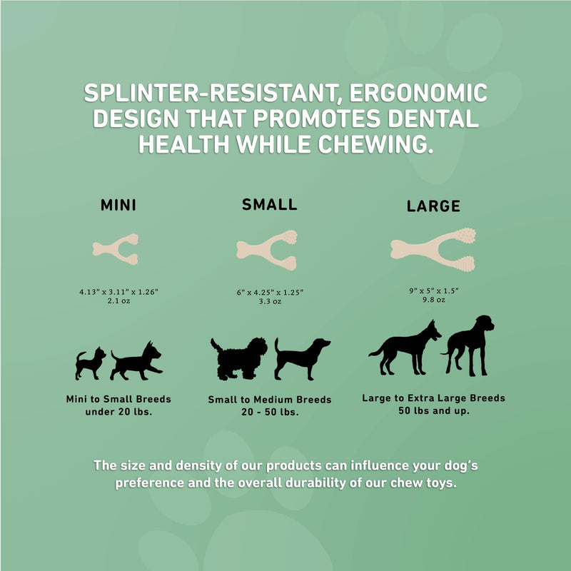 All-Natural, Nylon-Free Dog Chew Toys - Medium Density - Ideal for Moderate to Strong Chewers - Non-Toxic, Promotes Dental Health, Splinter-Resistant, Sustainably Made Beef Small - PawsPlanet Australia