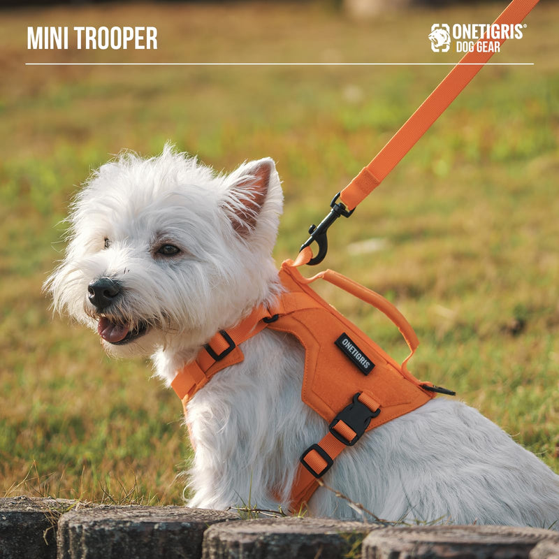 Onetigris Small Harness Dog Harness and Leash Set,MINI Trooper No Pull Dog Vest Fully Adjustable Harness for Puppy Dog and Cats, Dog Vest Harness for XXXS XXS XS Pets (Orange, XS) Orange - PawsPlanet Australia