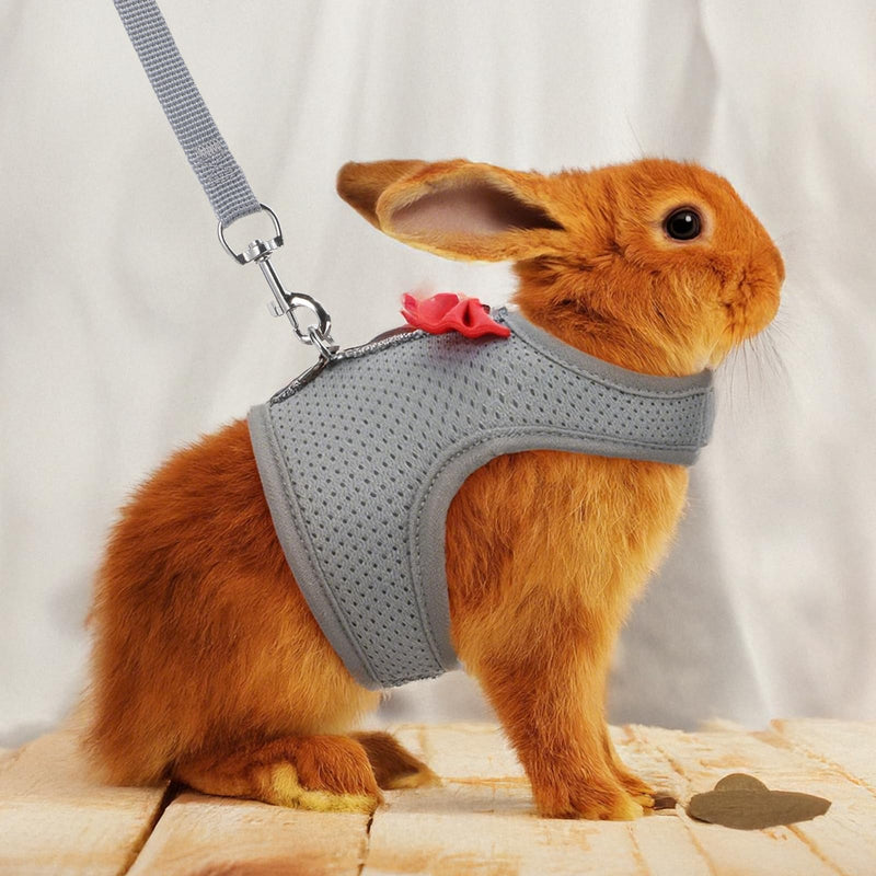 Rabbit Harness and Leash Set,Bunny Leash for Walking Escape Proof,Bunny Clothes with Cute Bow Mesh Breathable Adjustable Vest Rabbit Harness Camping Hiking Training for Ferret Kitten Puppy (Grey M) - PawsPlanet Australia