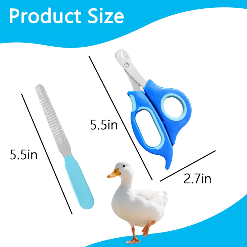 Call Duck Nail Clippers with Nail File，Stainless Steel Call Duck Chicken Hen Roster Goose Toe Nail Clippers Professional Grooming Pet Tool for Small Breed Animals - PawsPlanet Australia