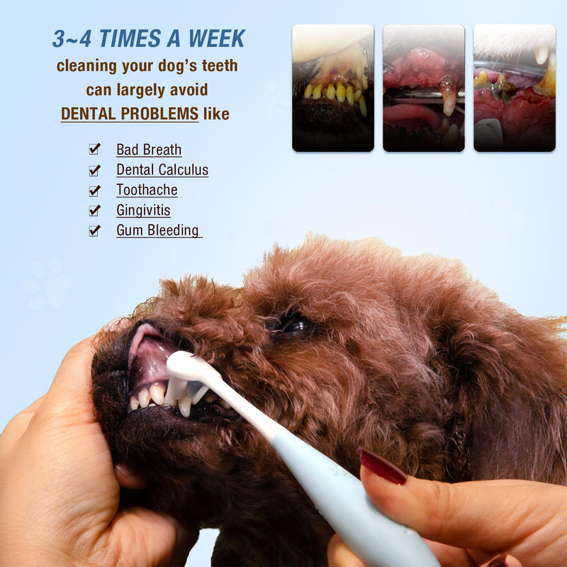Ultra Soft Nano Dog Toothbrush Kit for Small Breed, Silicone 360 Pet Tooth Brushes for Dogs Cat,Canine Dental Care Set of 3 Different Shapes - PawsPlanet Australia