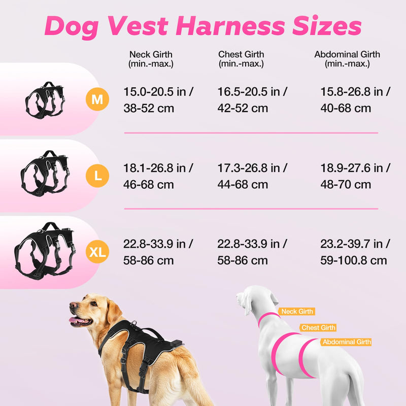 Light Up Dog Harness LED Dog Vest - USB-C Rechargeable RGB 9-LED, Slow/Fast Rainbow Modes, Reflective No-Pull Harness with Dual D-Rings & Handle for Small to XL Dogs (Black, L) Black - PawsPlanet Australia