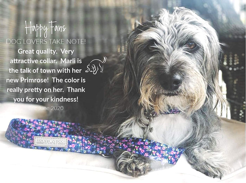 Lucky Love Dog Martingale Collar Leash Set, Premium No Slip Collar, Great for Whippets, Greyhounds, and More (Primrose, Large) - PawsPlanet Australia