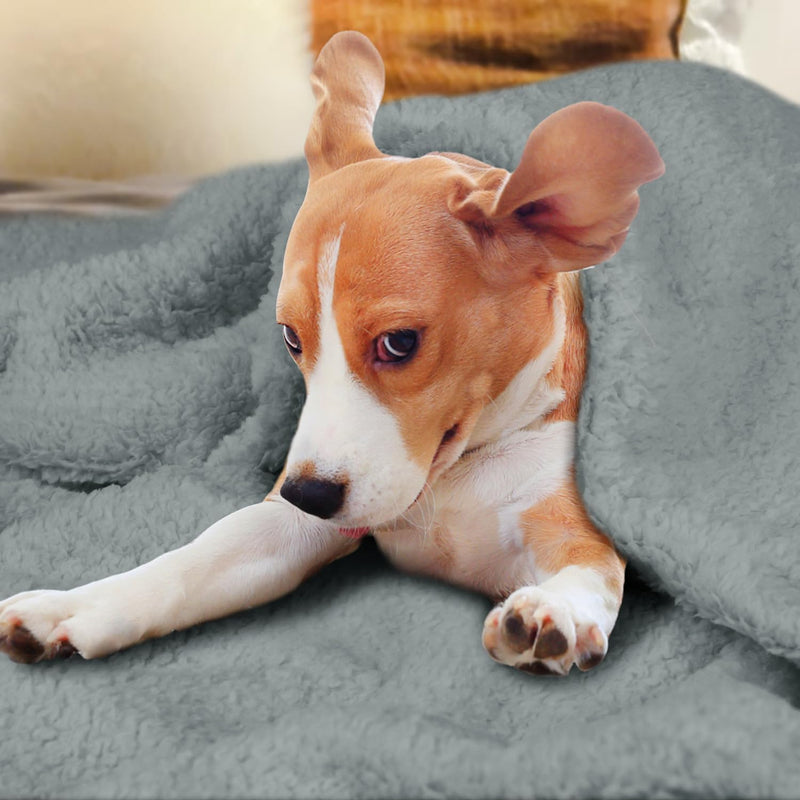 furrybaby Dog Blanket Soft Dog Blankets for Large Dogs Puppy Essentials Washable Sherpa Fleece Cat Blanket 40x47 Inches for Bed Furniture Couch Sofa (Large, Grey) Grey Blanket 40x47in (pack of 1) - PawsPlanet Australia