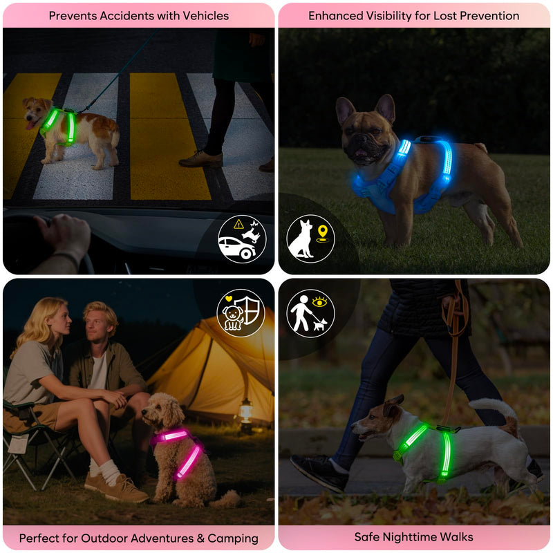 Light Up Small Dog Harness, LED Rechargeable Harness for Small Sized Dog, No Pull Reflective Adjustable Dog Vest Harness with Soft Light, Glow-in-The-Dark for Night Safety Walking (Pink) Pink - PawsPlanet Australia
