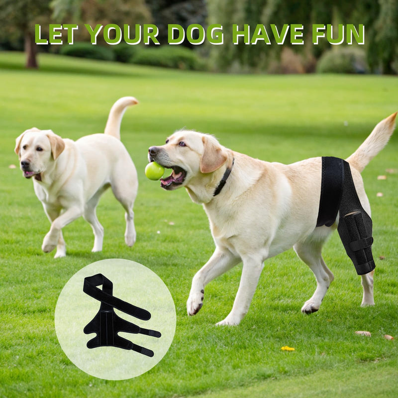 Adjustable Dog Knee Brace for Acl Support, Built-in Hard Support to Recovery and Injury Prevention - Perfect for Torn Ligaments, Knee, Hock, and Ankle Injuries - (M Size) M