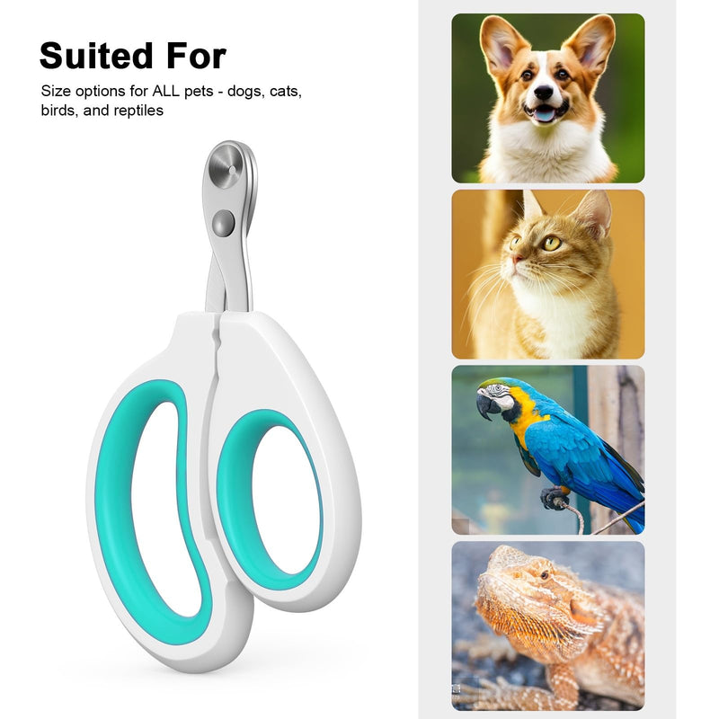 Cat Specific Nail Clipper, Avoiding Excessive Cutting, Suitable for Beginners. It Can Also be Used for Small Animals Such as Birds, Hamsters, Rabbits, Hedgehogs, Ferrets, Guinea Pigs, Etc. green - PawsPlanet Australia