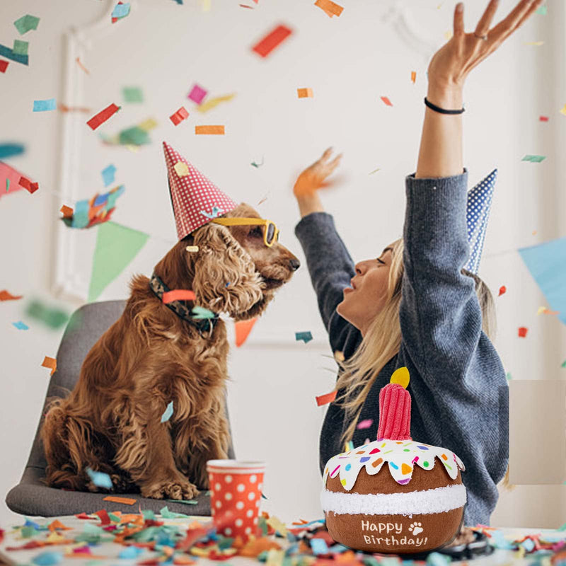 Dog Birthday Cake Toy - Dog Birthday Girl Boy Gifts, Squeaky Plush Dog Birthday Toy Small - PawsPlanet Australia