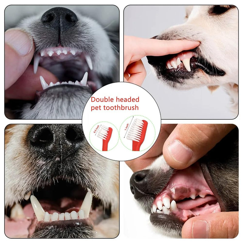Dog Toothbrush Set of 8 – Dual Headed Dental Hygiene Brushes for Small to Large Dogs, Easy Teeth Cleaning & Dental Care,Dog Tooth Brushes for Small to Large Dogs, Cats, and Most Pets - PawsPlanet Australia