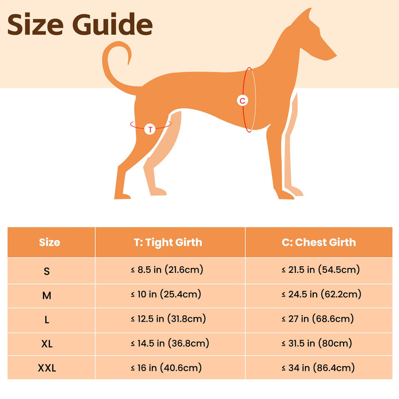 Dog Knee Brace for Torn Acl Hind Leg - Dog Back Legs Supports with 2 Stabilizers to Reduces Pain for CCL Injury, Hip Dysplasia & Joint Pain Relief, Adjustable Soft Breathable Leg Braces, M