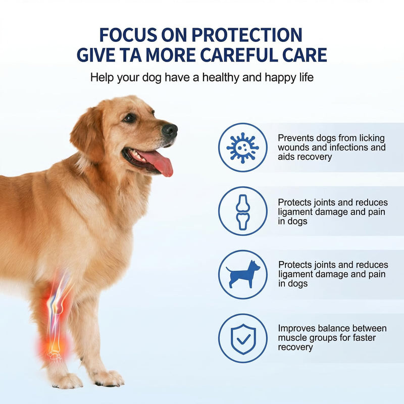 1 Pair Dog Leg Brace for Front & Rear Legs, Supportive Brace for Weak Back Legs, ACL Tear, and Joint Discomfort, Joint Warps Adjustable Support Help Hind Legs Injuries Sprains Arthritis-Large Brace