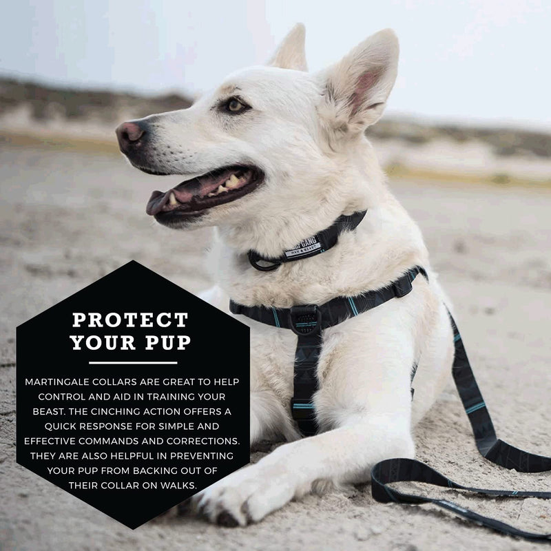 Wolfgang Premium Martingale Dog Collar for Medium Dogs, Durable & Easy to Clean Nylon Dog Collar with Quick Clip Buckles, for Training & Daily Use, Made in USA, NightOwl Print, (1 Inch x 14-18 Inch) Medium (1 Inch x 14-18 Inch) - PawsPlanet Australia