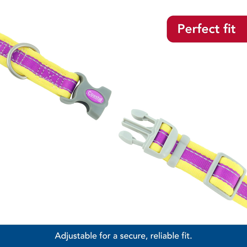 Coastal Pet - Pro - Reflective Adjustable Dog Collar, Purple with Yellow, 1" x 14-20" 1" x 14-20" (Pack of 1) - PawsPlanet Australia