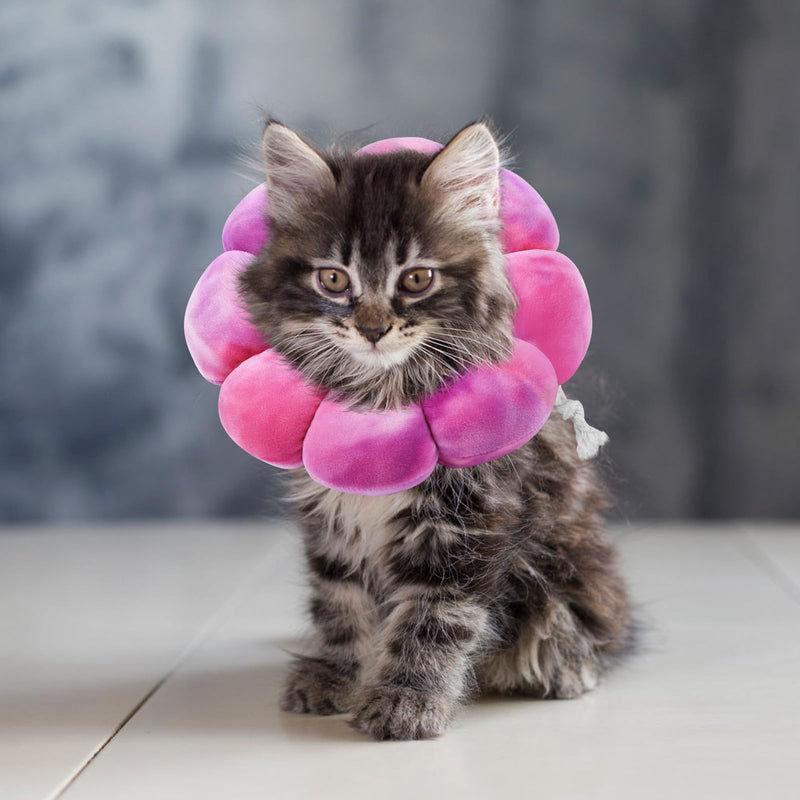 Flower Cat Cone, Uadonile Adjustable Cat Cone Collar, Soft Dog Elizabethan Collar Recovery E Collar After Surgery, Recovery E-Collar for Kittens/Puppies and Cats Recovery(Tie-dye Rose Purple, S) - PawsPlanet Australia