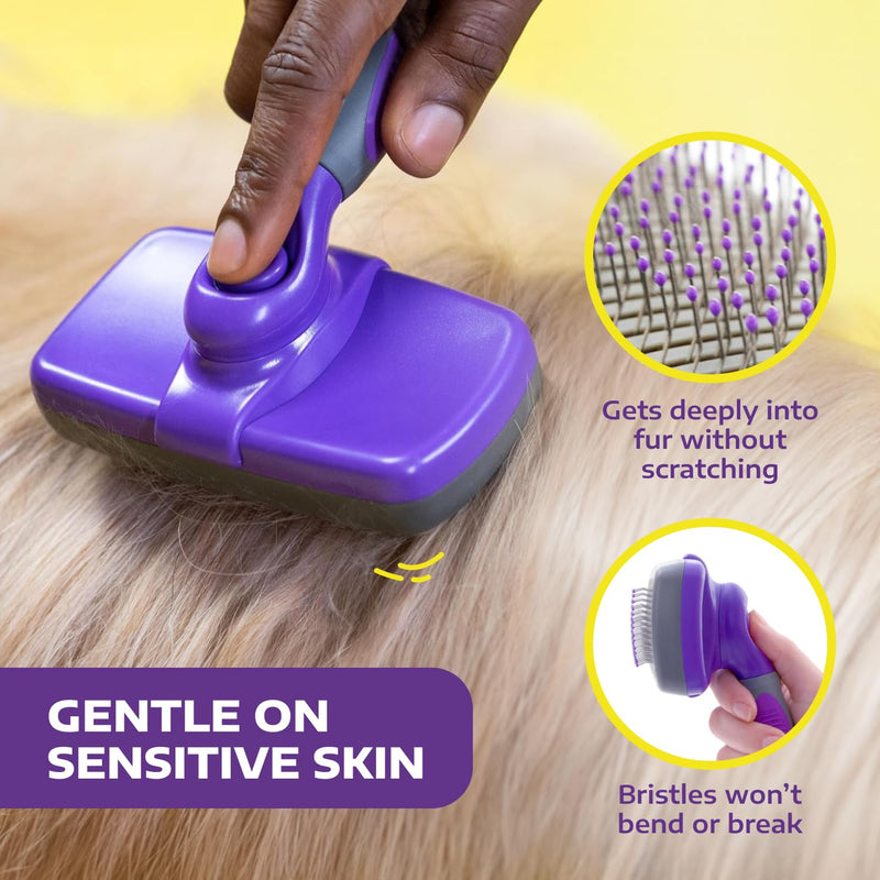 Hertzko Self-Cleaning Slicker Brush - Cat and Dog Brush for Shedding, Tangles and Dirt - Gentle Grooming Tool for Sensitive Skin - Pet Hair Remover for Long and Short Coats - Purple Large - PawsPlanet Australia