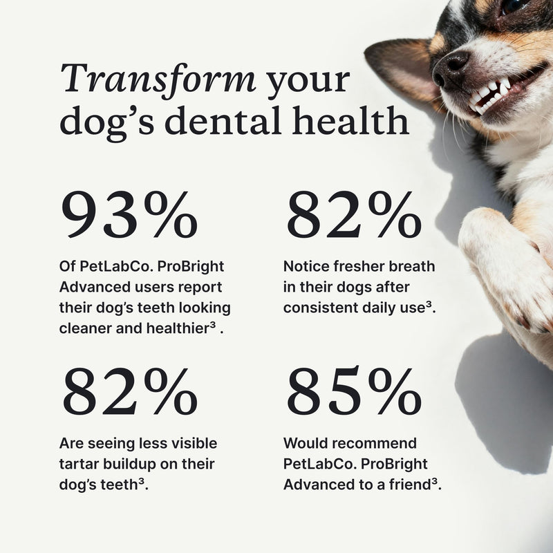 PetLab Co. ProBright Advanced Dental Powder - Dog Breath Freshener - Teeth Cleaning Made Easy – Targets Tartar & Bad Breath - Packaging May Vary - Formulated for Extra Small Dogs - PawsPlanet Australia