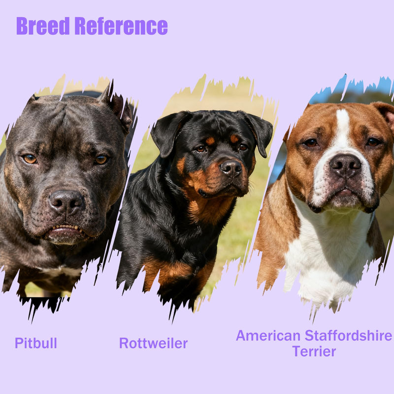 PVC Woven Basket Dog Muzzle for Medium & Large Sized Dogs - Pitbull, Amstaff & Rottweiler Breathable Adjustable Muzzle, Safe Anti-Chewing Biting Comfortable M - PawsPlanet Australia